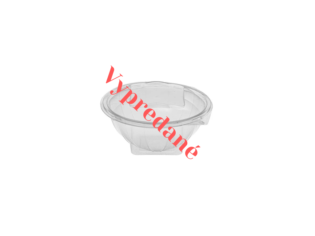 - PET priehľadný box spojený s viečkom 1000 ml - 50 ks/balenie - Greenstic-sk